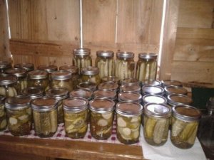 In August, we're in a pickle. We do all the canning.