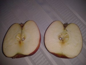A healthy apple brings a healthy year