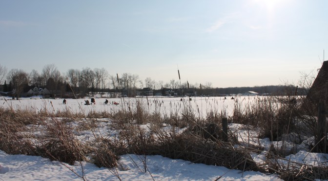 Springtime in Michigan