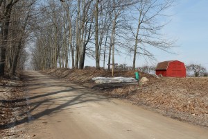 First spring walk to the Franciscan Sisters