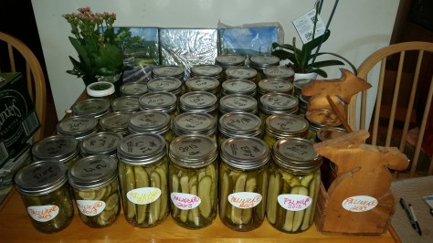 Palinka (R) line of canned goods such as the sweet and sour dill pickles made from an old family pickling recipe.  The prices will be $6 per pint and $9 per quart. The gift packages of three different varieties in a wooden carved Michigan box will be $39.99 Stay tuned for the official opening on all Emma Blogs soon.