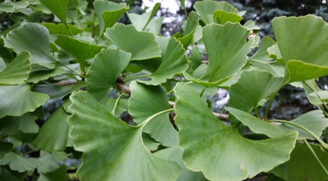 Looking back at 2014