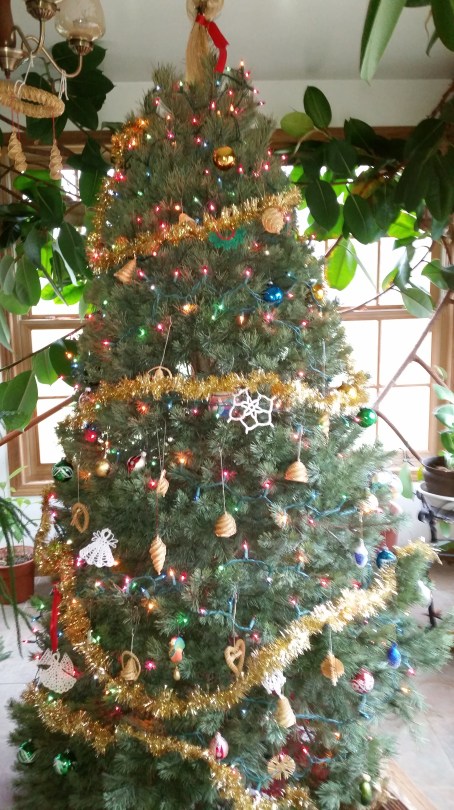 Celebrating 25th anniversary in the USA