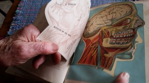 20 books compose the Library of health