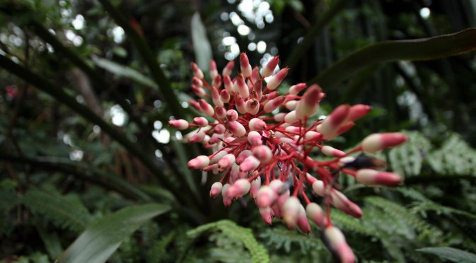 A Haiku on “Magic”