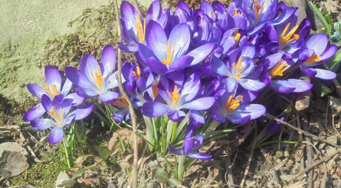 Taurus on edge before Easter