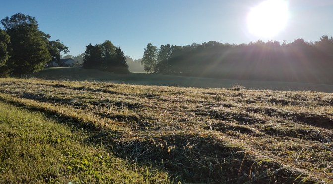 Late July with excerpts