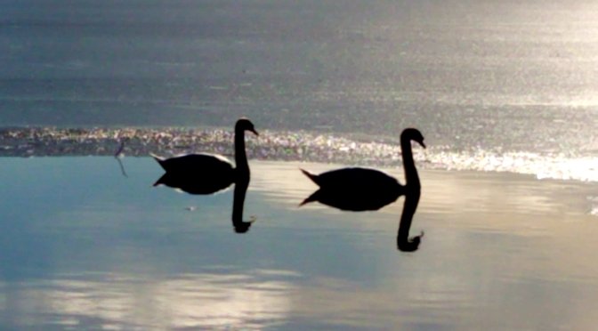 Happy Valentine’s Day from romance authors