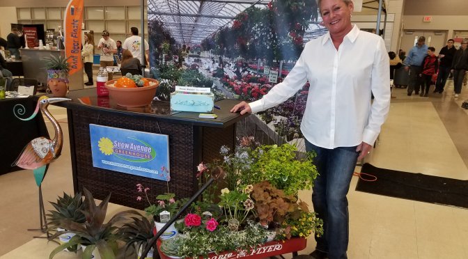 Day 3: COVID-19 shutdown