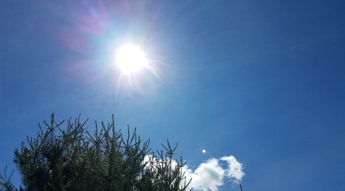 Day 42: COVID-19 May the Fourth be with you