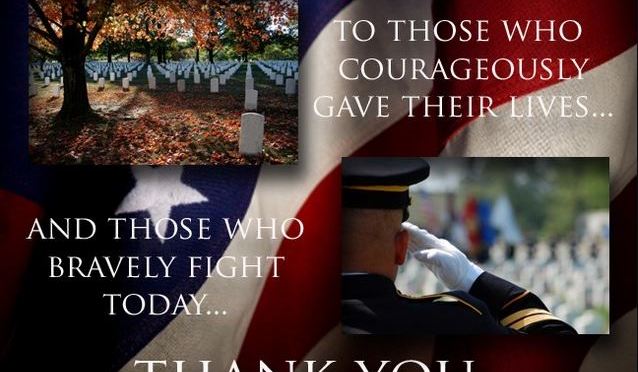 In observance of Veterans Day 2019, nano day 11