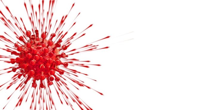 Day 26: COVID-19 quarantine insights