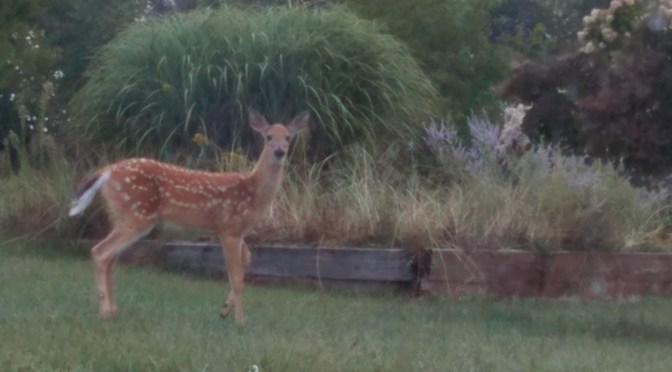 Happy Labor Day weekend