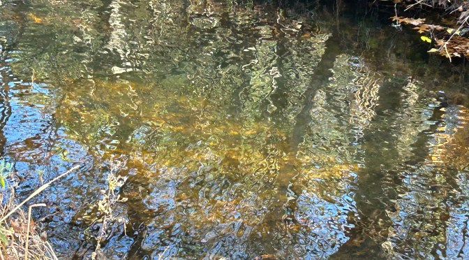 NaNoWriMo 2022 Day 13 & 14